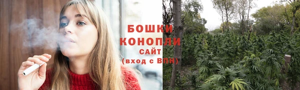 гашик Мегион