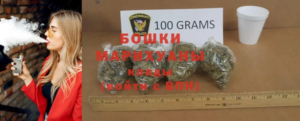 гашик Мегион