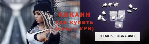 гашик Мегион