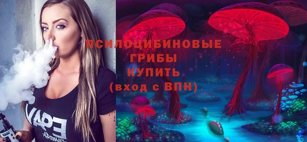 прущие грибы Михайловск