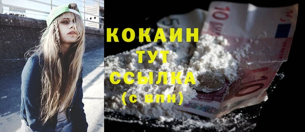 прущие грибы Михайловск
