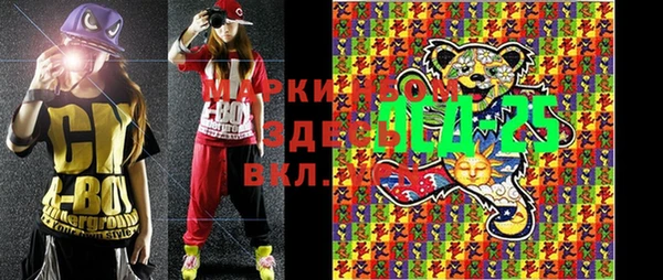 гашик Мегион