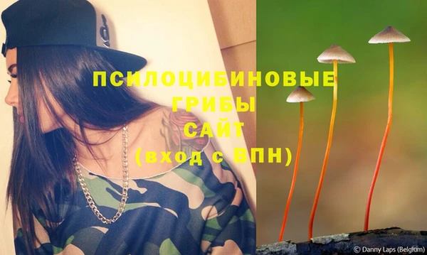 ешки Балахна