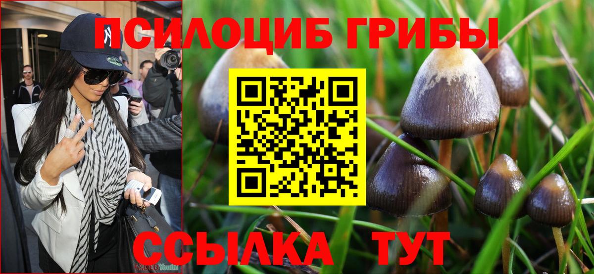 Отрадное  Псилоцибиновые грибы Psilocybe  Псилоцибиновые грибы мицелий  дарнет шоп  Вход с VPN 