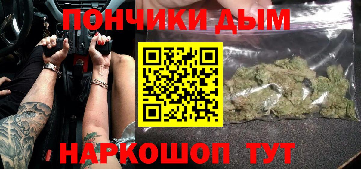 Канабис сатива Отрадное